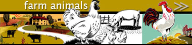 FarmAnimals